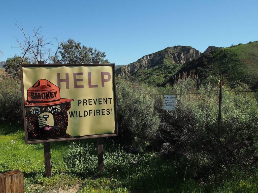 Wildfires: What Are They And How To Prepare For Them